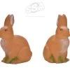 BEIER 3D TARGET – HARE SITTING (GROUP4)