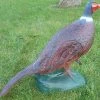 WILD LIFE 3D TARGET – PHEASANT (GROUP4)