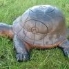 WILD LIFE 3D TARGET – TURTLE (GROUP4)