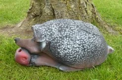 WILD LIFE 3D TARGET – HEDGEHOG (GROUP4)