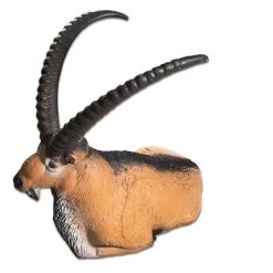 Archery Series Store -Archery Series Store 6 5 e1721743855447