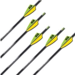 EASTON A/C/E ARROWS SET OF 12