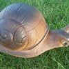WILD LIFE 3D TARGET – LAND SNAIL (GROUP4)