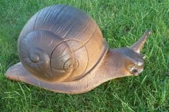 WILD LIFE 3D TARGET – LAND SNAIL (GROUP4)
