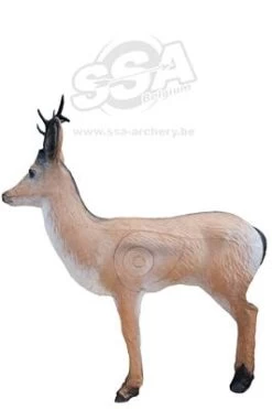 WILD LIFE 3D TARGET – ROEDEER ALERTED (GROUP3)