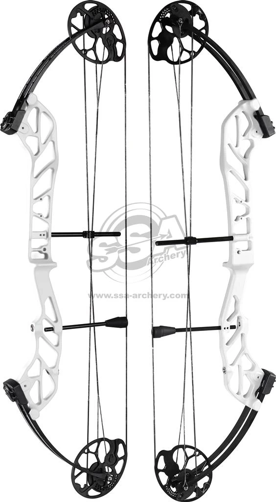 TOPOINT STARTING 36 COMPOUND BOW RH 3 TOPOINT STARTING 36 COMPOUND BOW RH - Image 3