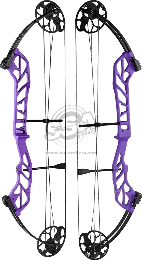 TOPOINT STARTING 36 COMPOUND BOW RH 7 TOPOINT STARTING 36 COMPOUND BOW RH - Image 7