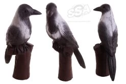 BEIER 3D TARGET – HOODED CROW (GROUP4)