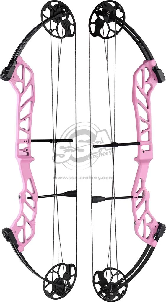 TOPOINT STARTING 36 COMPOUND BOW RH 13 TOPOINT STARTING 36 COMPOUND BOW RH - Image 13