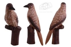 BEIER 3D TARGET – NUTCRAKER (GROUP4)